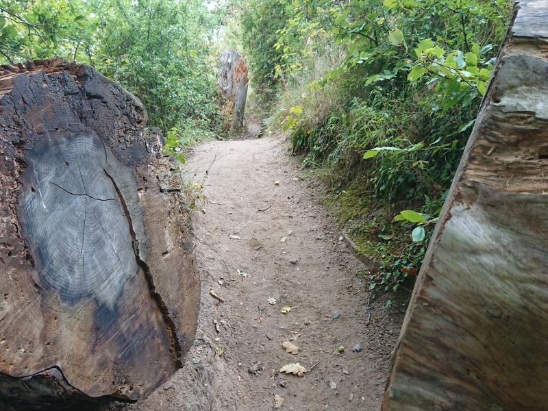 Foto fra et tidligere arrangement