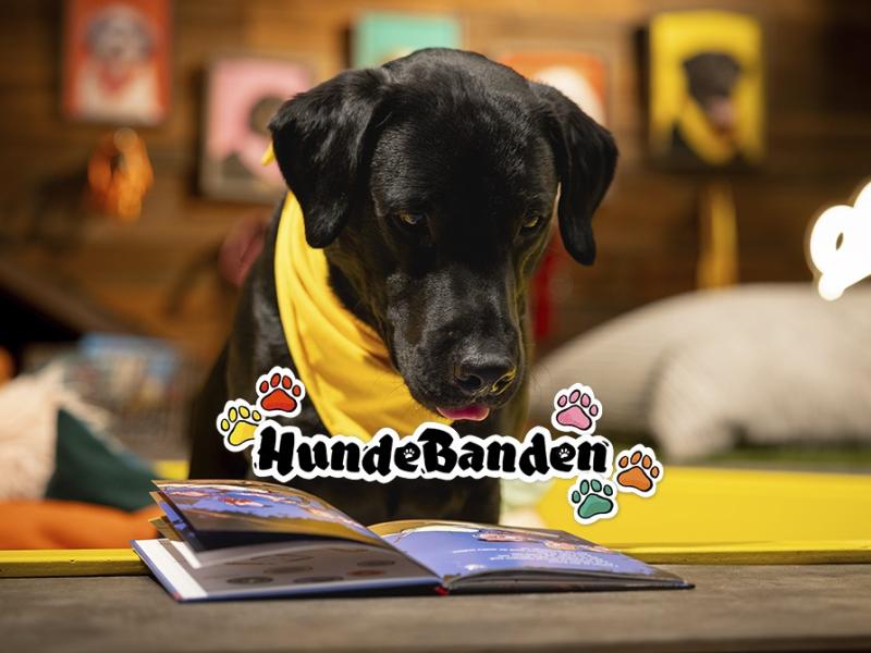 Power, den sorte labrador, læser